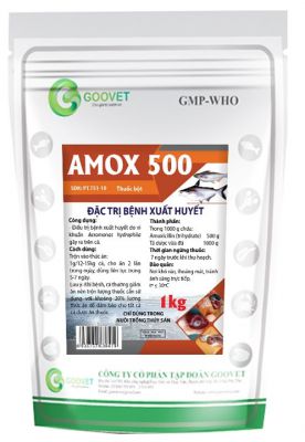 AMOX 500