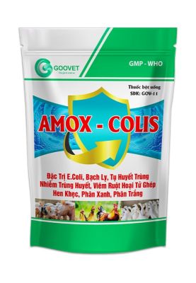 AMOX - COLIS
