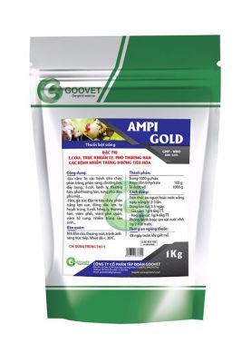 AMPI - GOLD