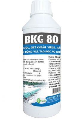 BKC 80