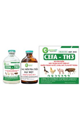 CEFA  - TH3
