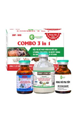 COMBO 3 TRONG 1