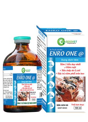 ENRO ONE @