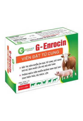 G-ENROCIN