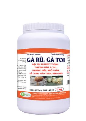 GÀ RÙ, GÀ TOI