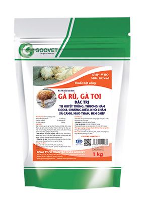 GÀ RÙ, GÀ TOI