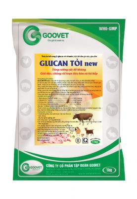 GLUCAN TỎI NEW