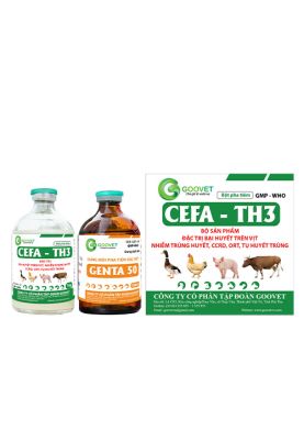 CEFA  - TH3