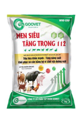 MEN SIÊU TĂNG TRỌNG 112