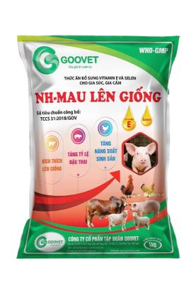 NH- MAU LÊN GIỐNG