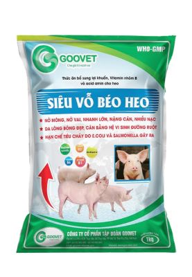 SIÊU VỖ BÉO HEO (SIÊU TAN)