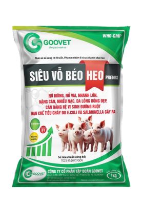 SIÊU VỖ BÉO HEO PREMIX