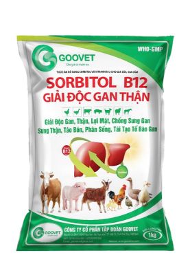 SORBITOL B12 GIẢI ĐỘC GAN THẬN