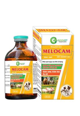 MELOCAM 