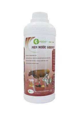 MEN NƯỚC GOOVET