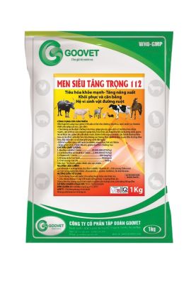 MEN SIÊU TĂNG TRỌNG 112