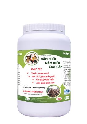 NẤM PHỔI, NẤM DIỀU CAO CẤP