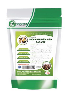 NẤM PHỔI, NẤM DIỀU CAO CẤP