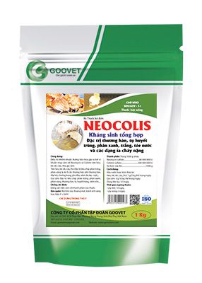 NEOCOLIS