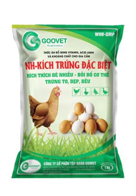 NH - KÍCH TRỨNG ĐẶC BIỆT