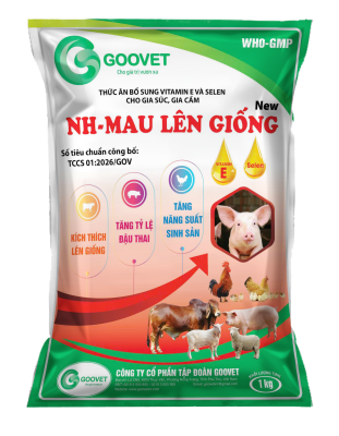 NH - MAU LÊN GIỐNG NEW