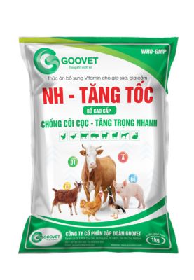 NH - TĂNG TỐC