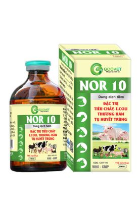 NOR 10