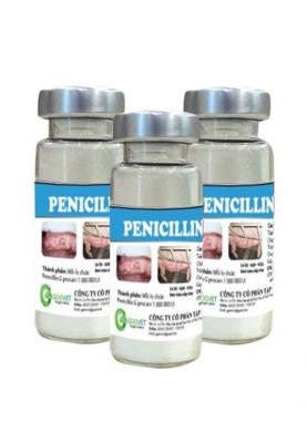 PENICILLIN G
