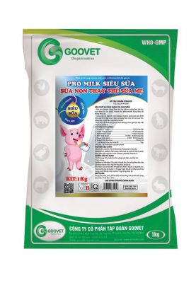 PROMILK SIÊU SỮA - SỮA NON THAY THẾ SỮA MẸ