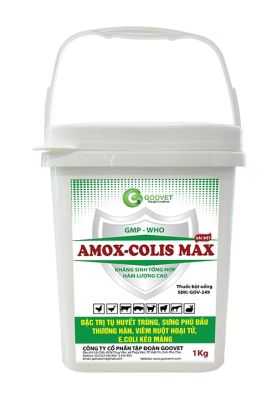 AMOX-COLIS MAX