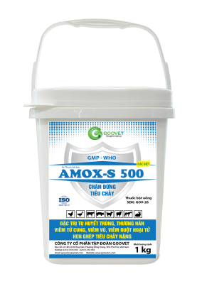 AMOX-S 500