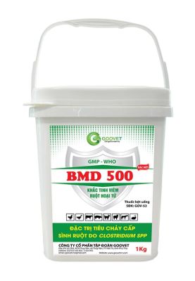 BMD 500