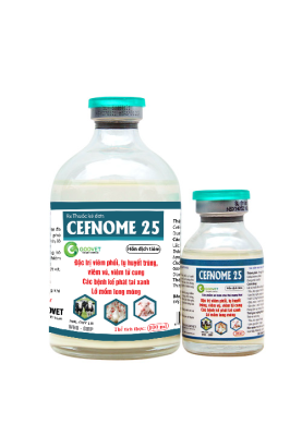 CEFNOME 25