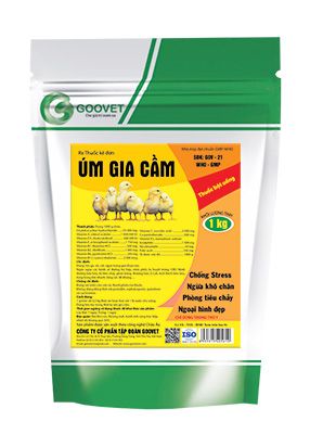 ÚM GIA CẦM