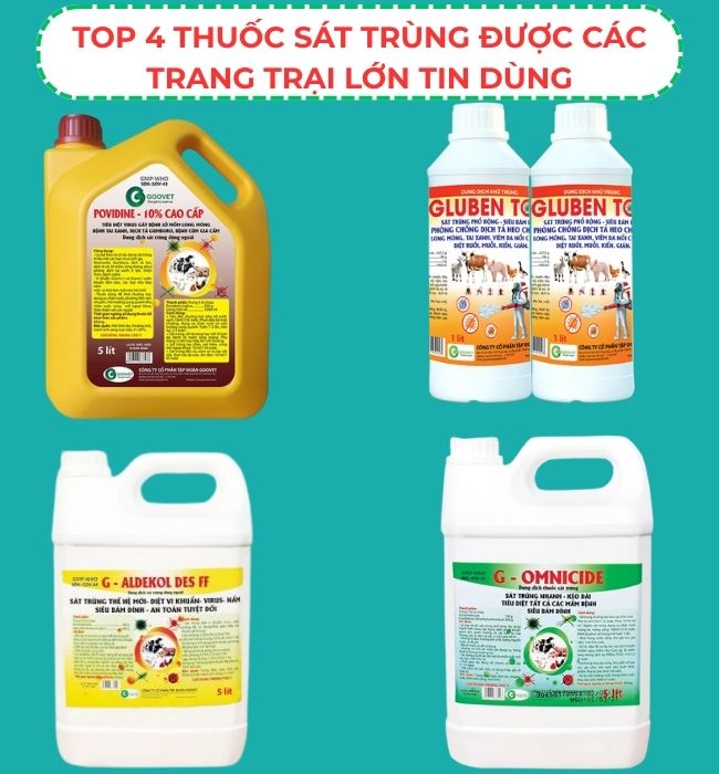 thuoc-sat-trung-duoc-cac-trang-trai-lon-tin-dung