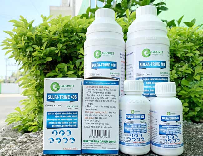 thuoc-thu-y-dac-tri-viem-ruot-hoai-tu-sulfa-trime-408