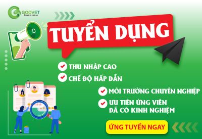 Goovet tuyển dụng nhiều vị trí - cơ hội bứt phá thu nhập và sự nghiệp