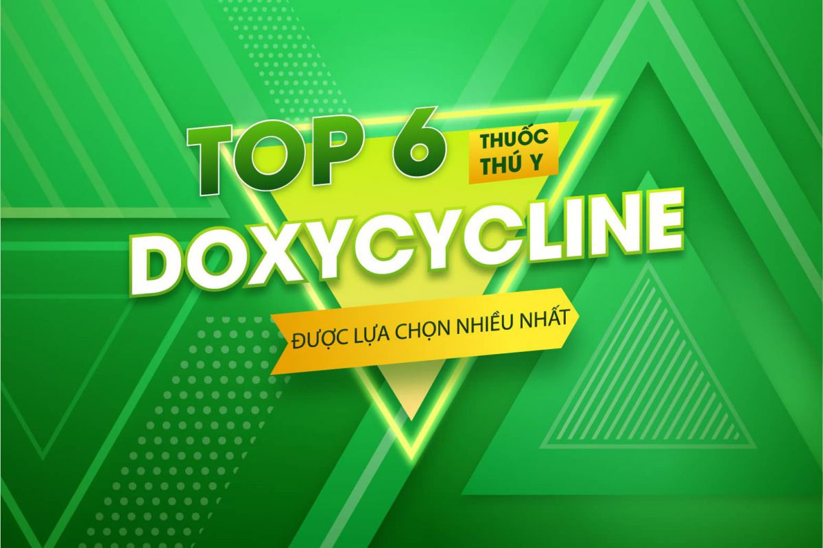 Top 6 thuốc Doxycycline trong thú y được lựa chọn nhiều nhất