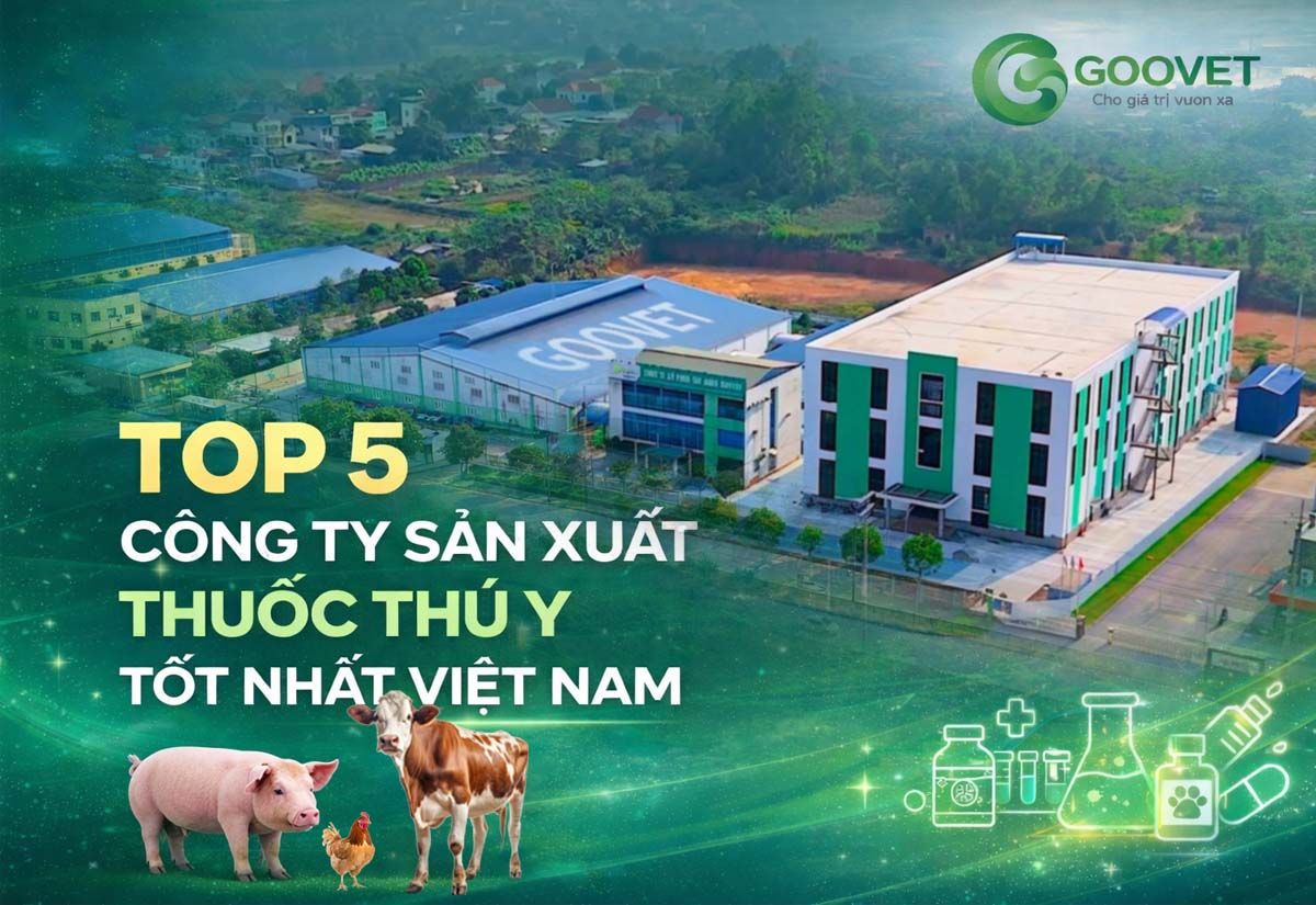 Top 5 c&ocirc;ng ty sản xuất thuốc th&uacute; y tốt nhất Việt Nam