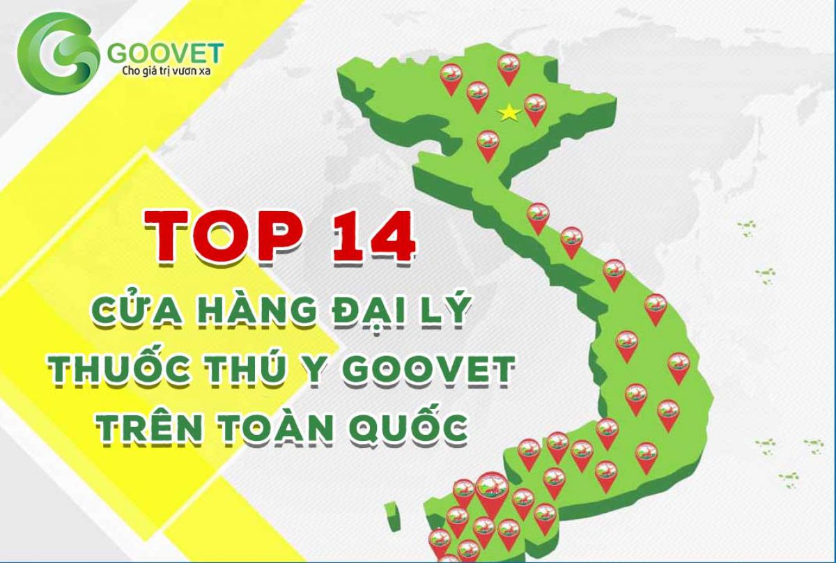 Top 14 cửa hàng đại lý thuốc thú y Goovet trên toàn quốc