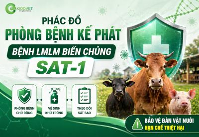Ph&aacute;c đồ ph&ograve;ng bệnh kế ph&aacute;t bệnh LMLM biến chủng SAT-1